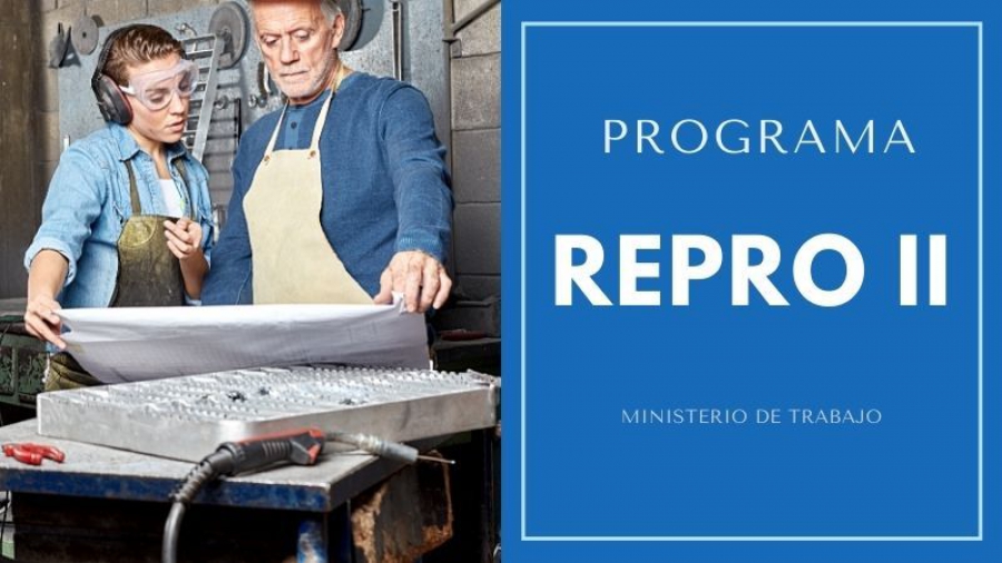 Programa REPRO II: Inscripción y criterios de preselección